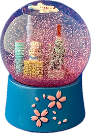 COOL TOKYO（夜）の現物写真